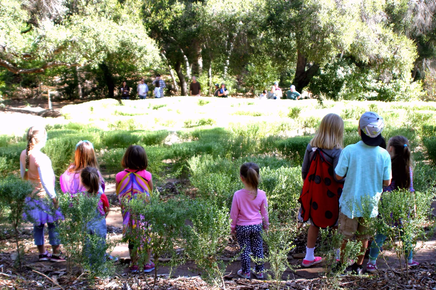 Children in the Centennial Maze