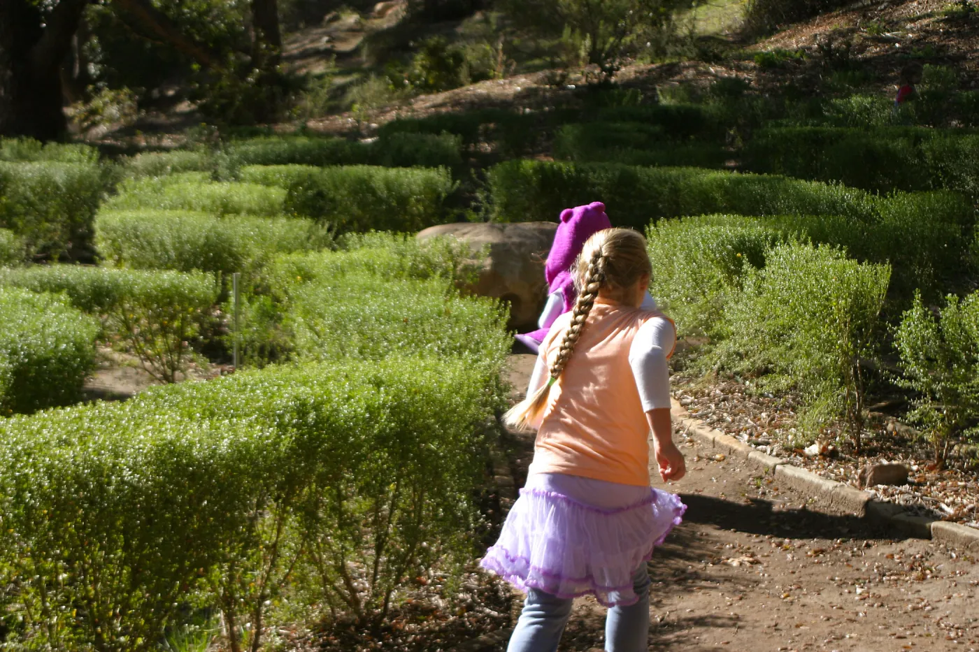 Children in the Centennial Maze
