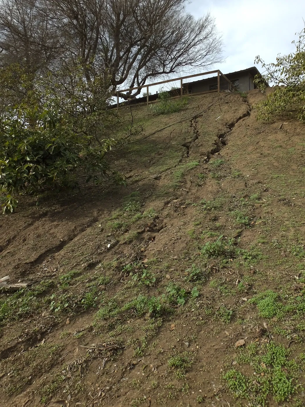 Soil erosion below Cavelli home