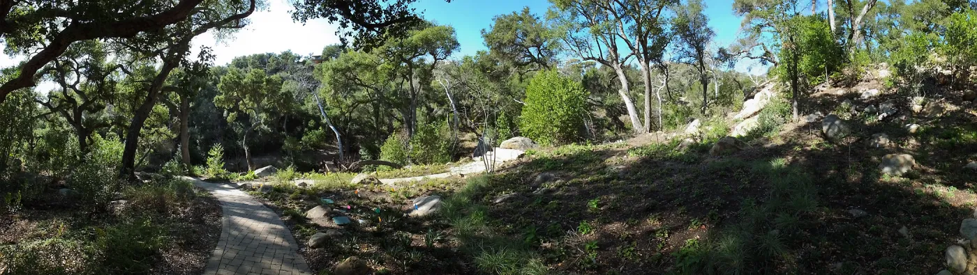 Wooded Dell