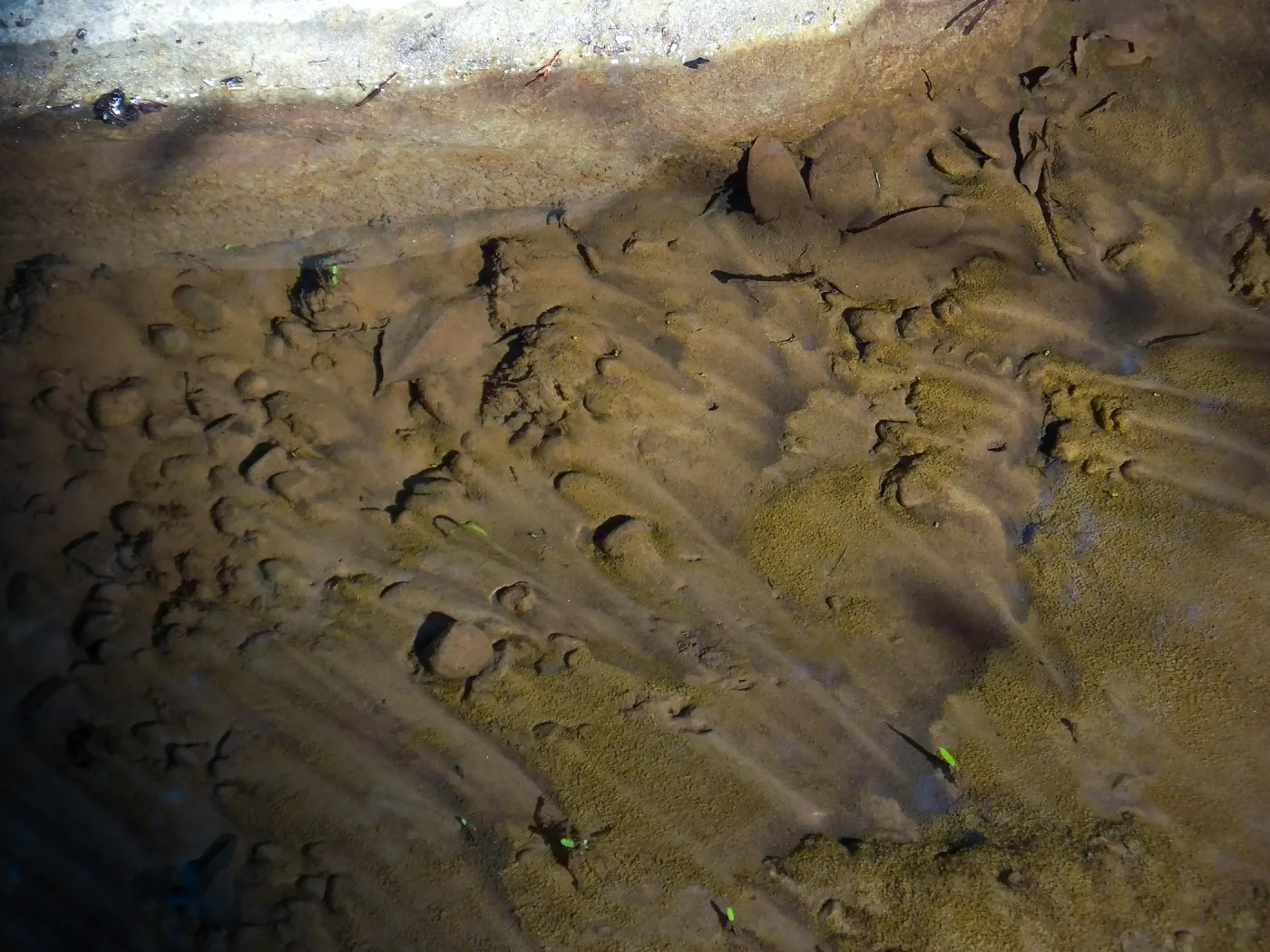 Flow patterns in Mission Creek