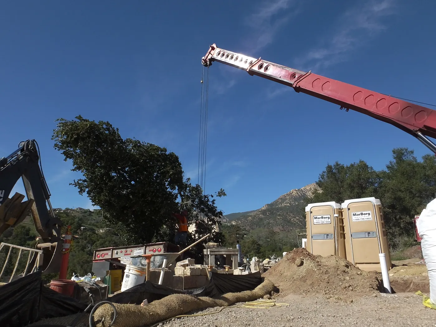 Installation of Island Oaks, flanking the entrance to the new Island Section at the Pritzlaff Conservation Center