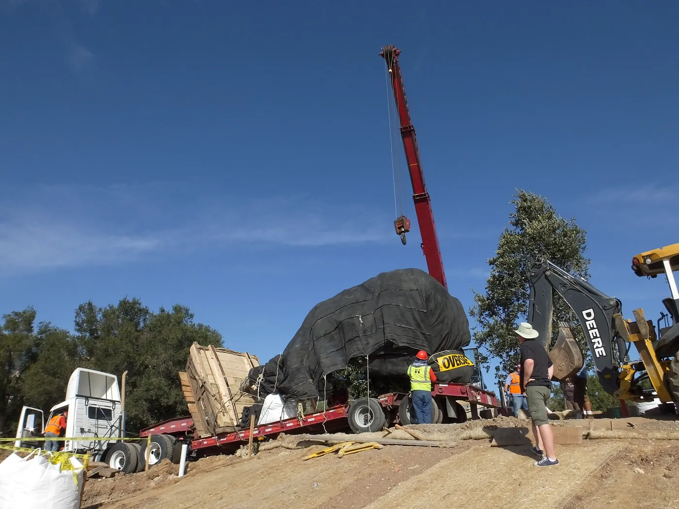 Installation of Island Oaks, flanking the entrance to the new Island Section at the Pritzlaff Conservation Center