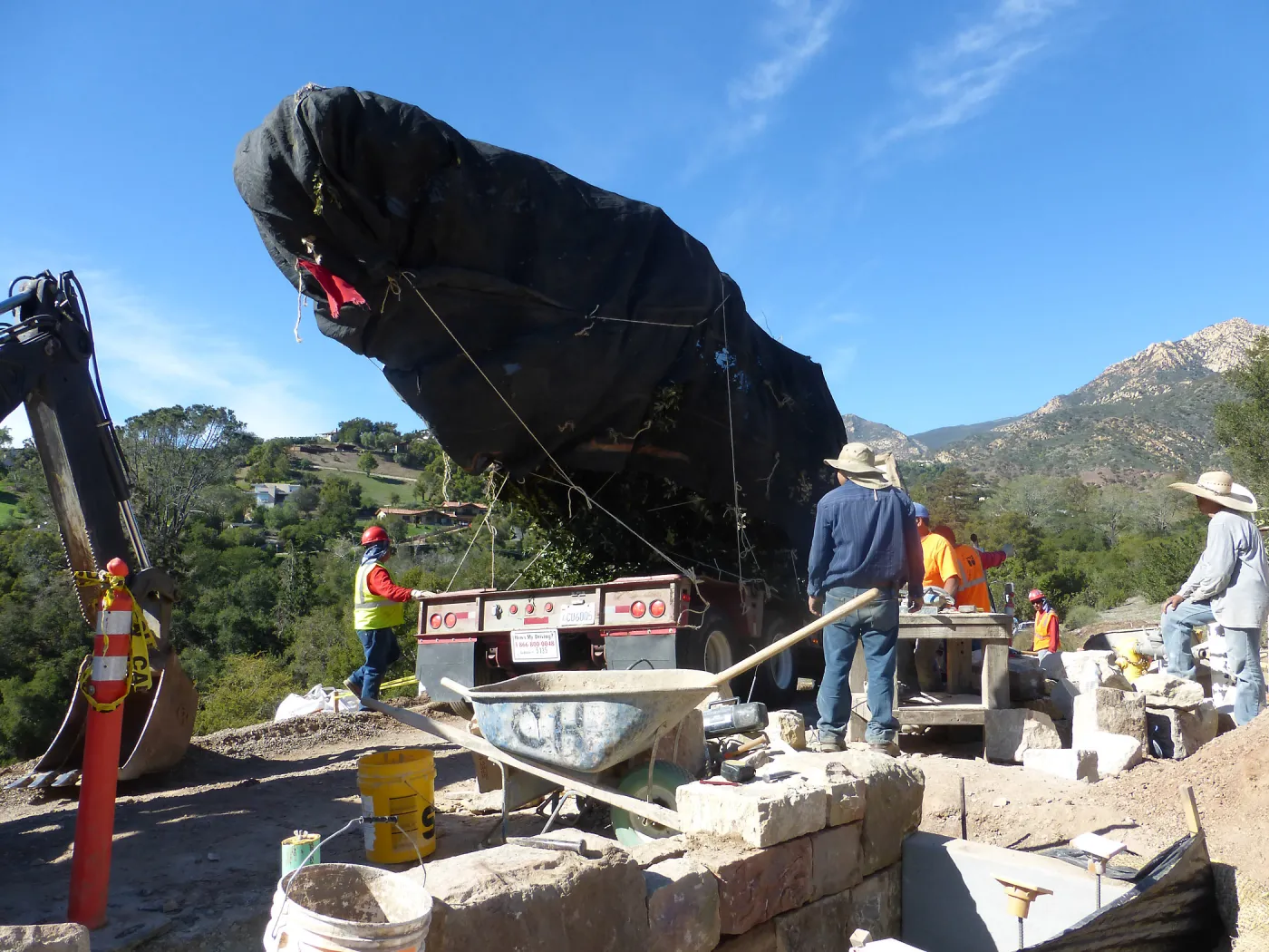 Installation of Island Oaks, flanking the entrance to the new Island Section at the Pritzlaff Conservation Center