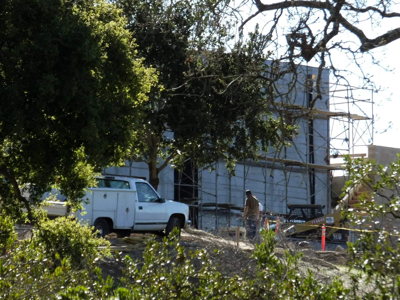 After installation of Island Oaks, flanking the entrance to the new Island Section at the Pritzlaff Conservation Center