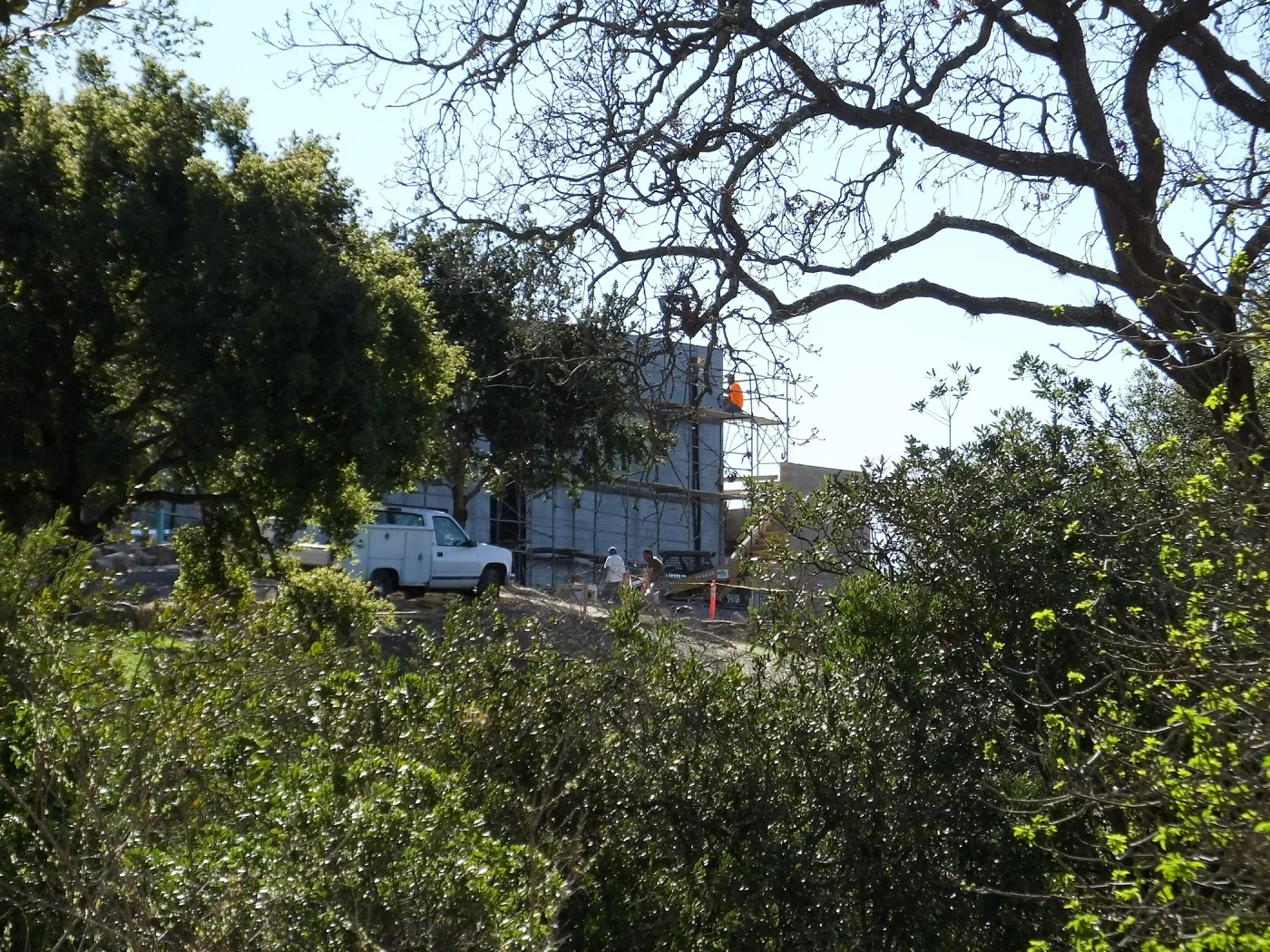 After installation of Island Oaks, flanking the entrance to the new Island Section at the Pritzlaff Conservation Center