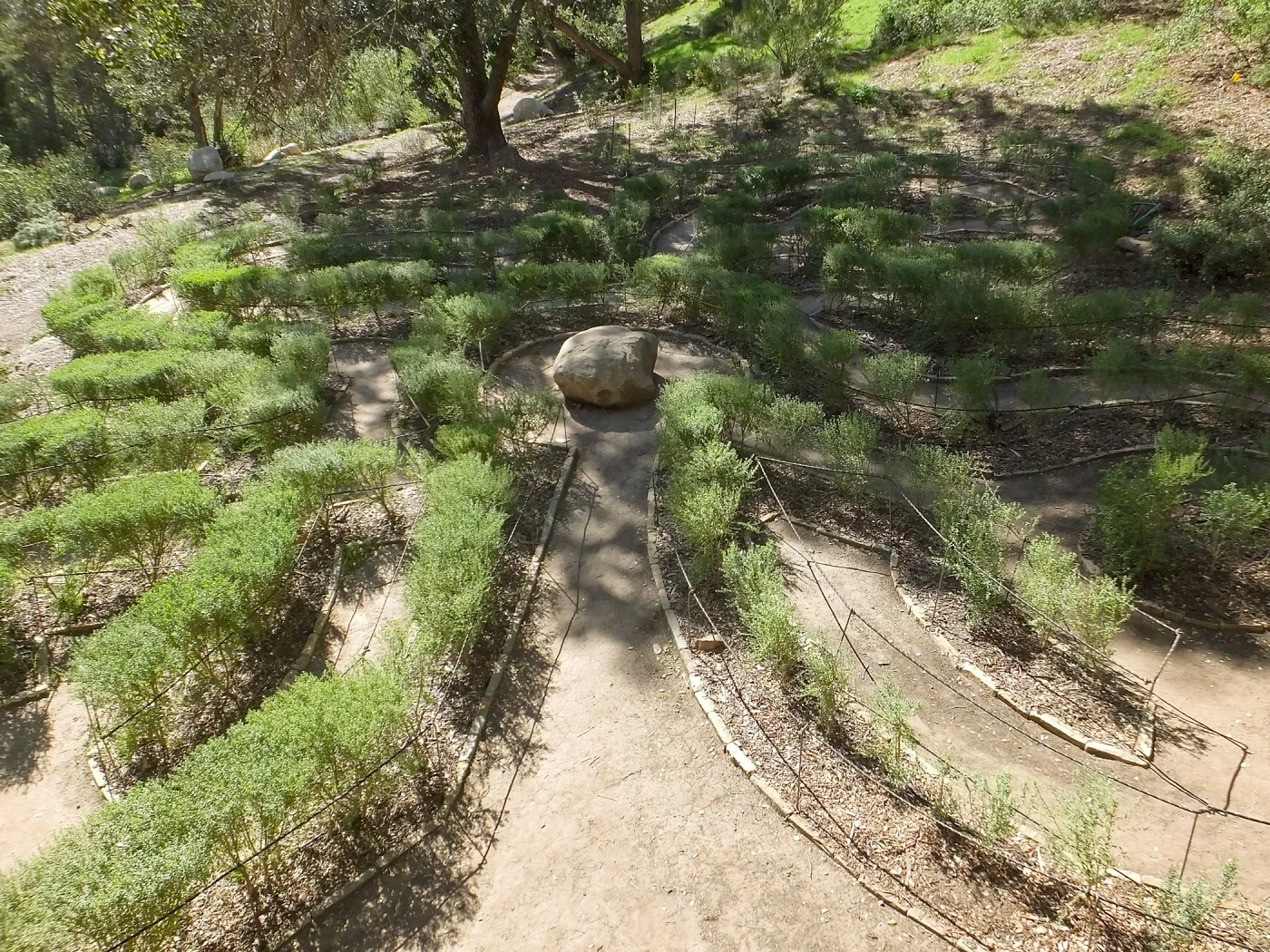 Centennial Maze