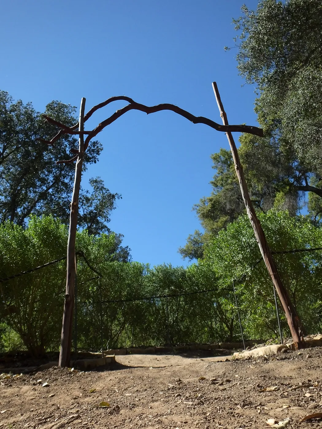 Entry Arch, Centennial Maze