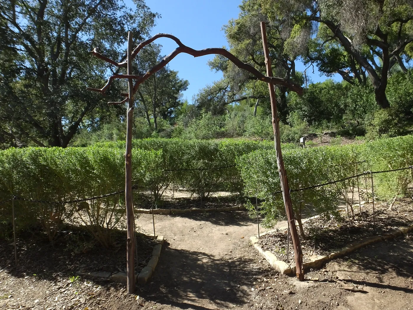 Entry Arch, Centennial Maze