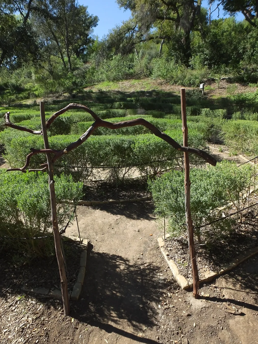 Entry Arch, Centennial Maze