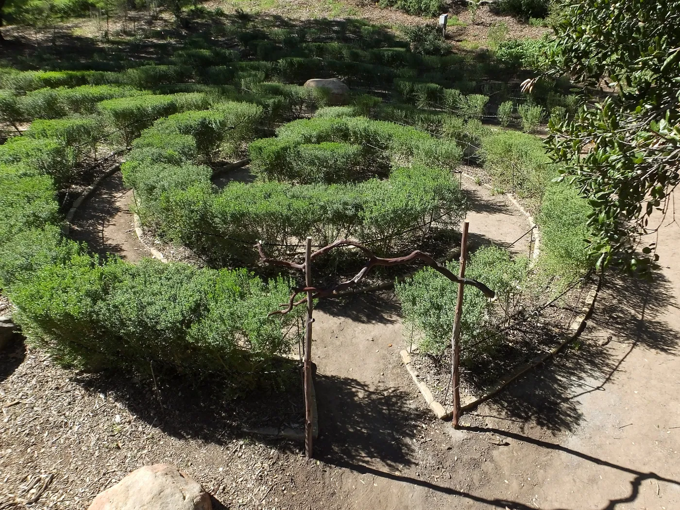 Entry Arches, Centennial Maze