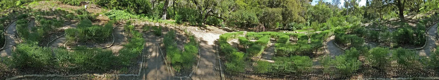 Centennial Maze Panorama