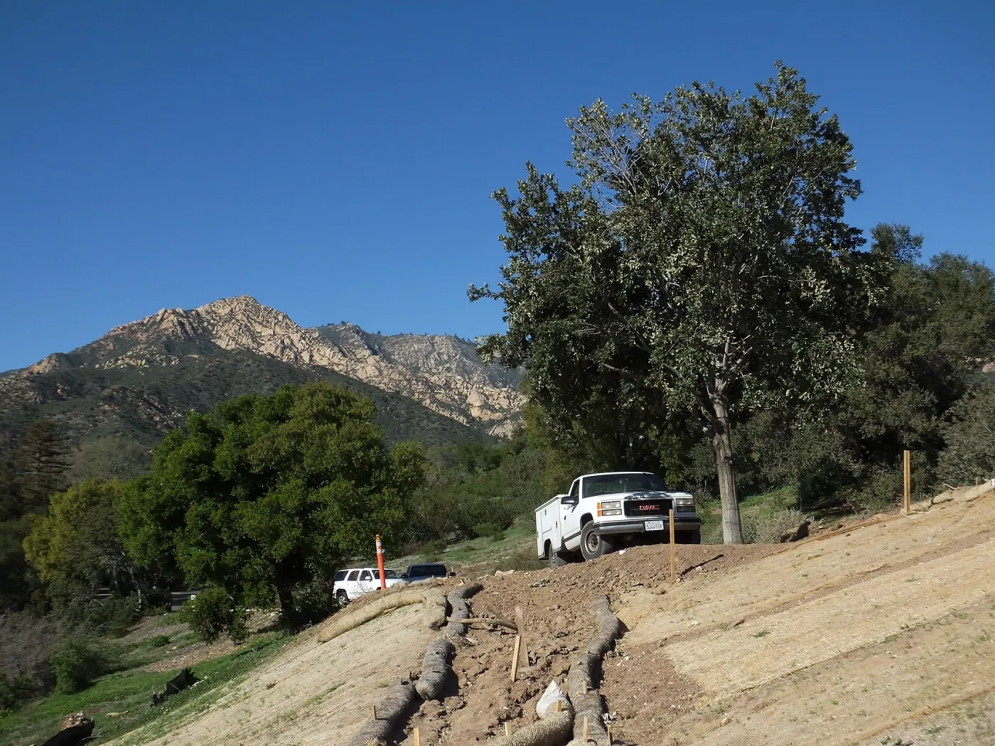 After installation of Island Oaks, flanking the entrance to the new Island Section at the Pritzlaff Conservation Center