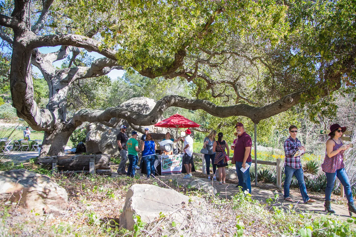 2016 Santa Barbara Beer Garden Event, Figueroa Mountain Brewery