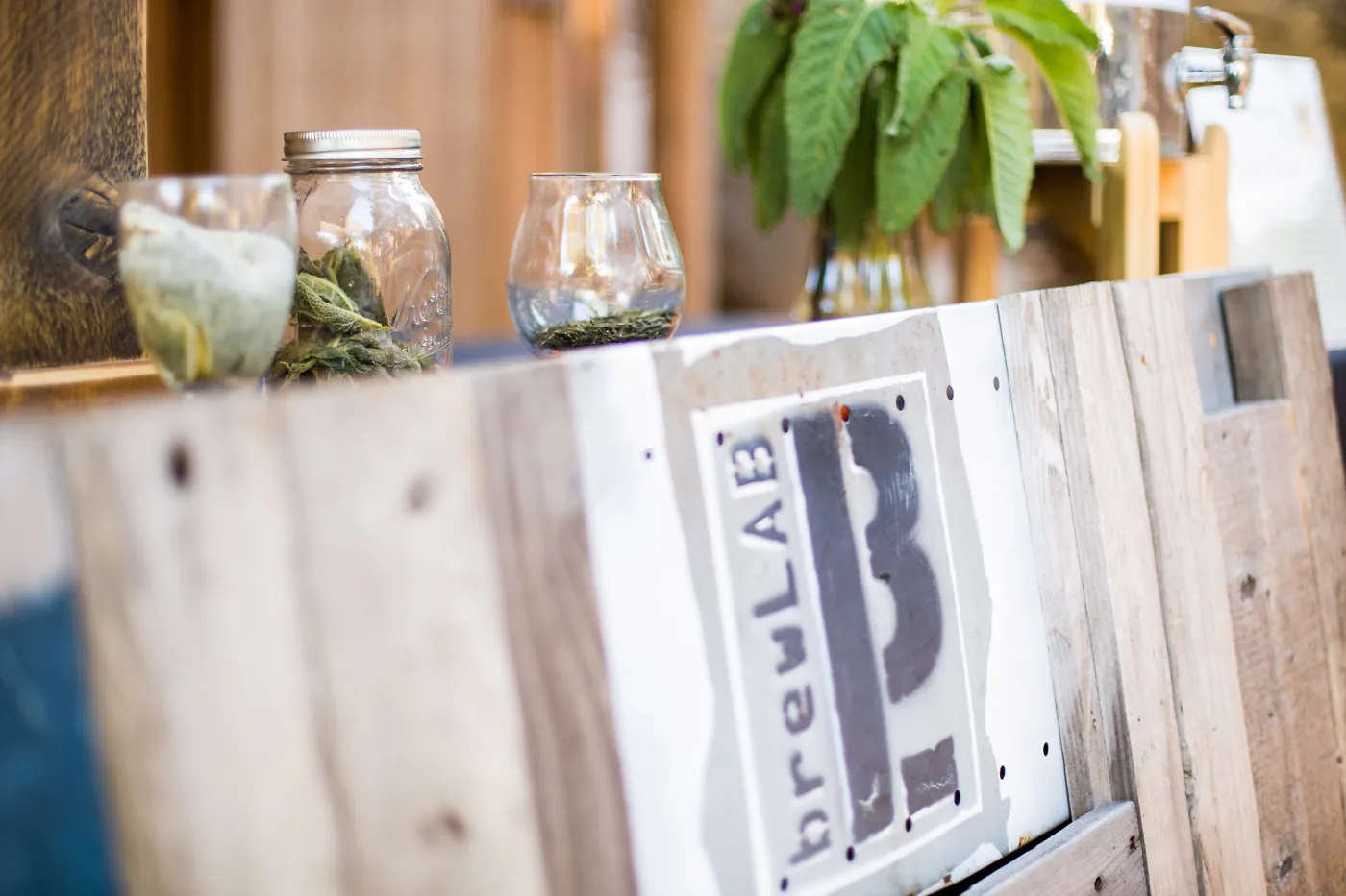 2016 Santa Barbara Beer Garden Event, brewLAB