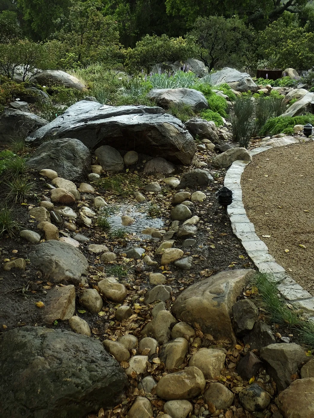 Rainfall collecting in bioswale, Home Demonstration Garden