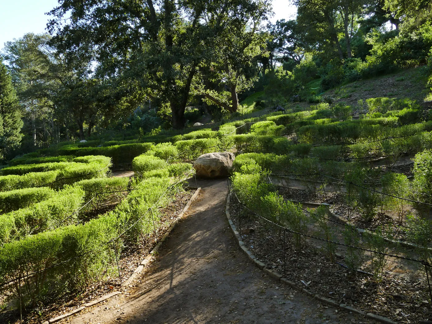Centennial Maze