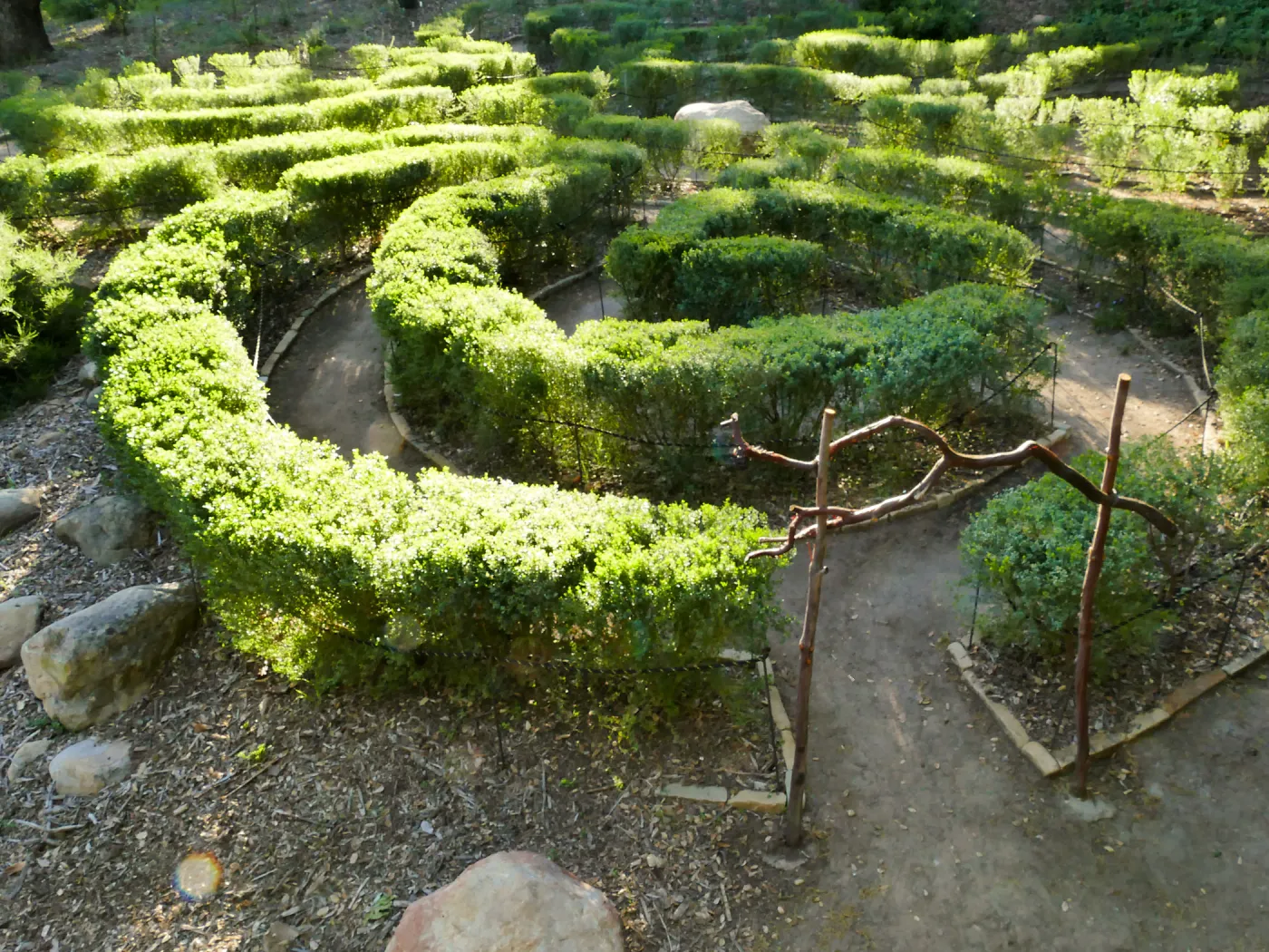Centennial Maze