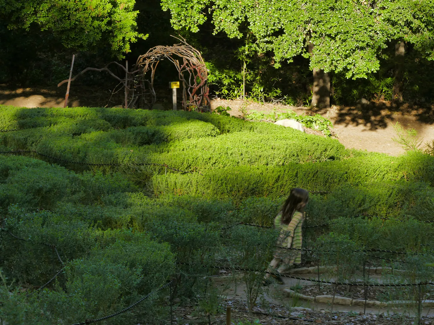 Centennial Maze