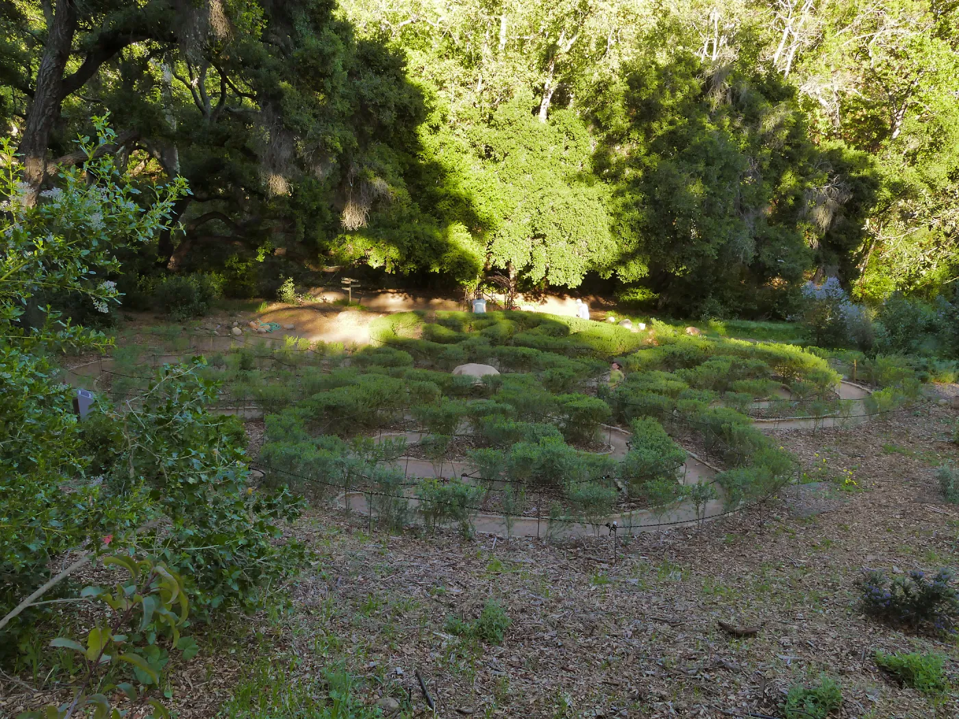 Centennial Maze