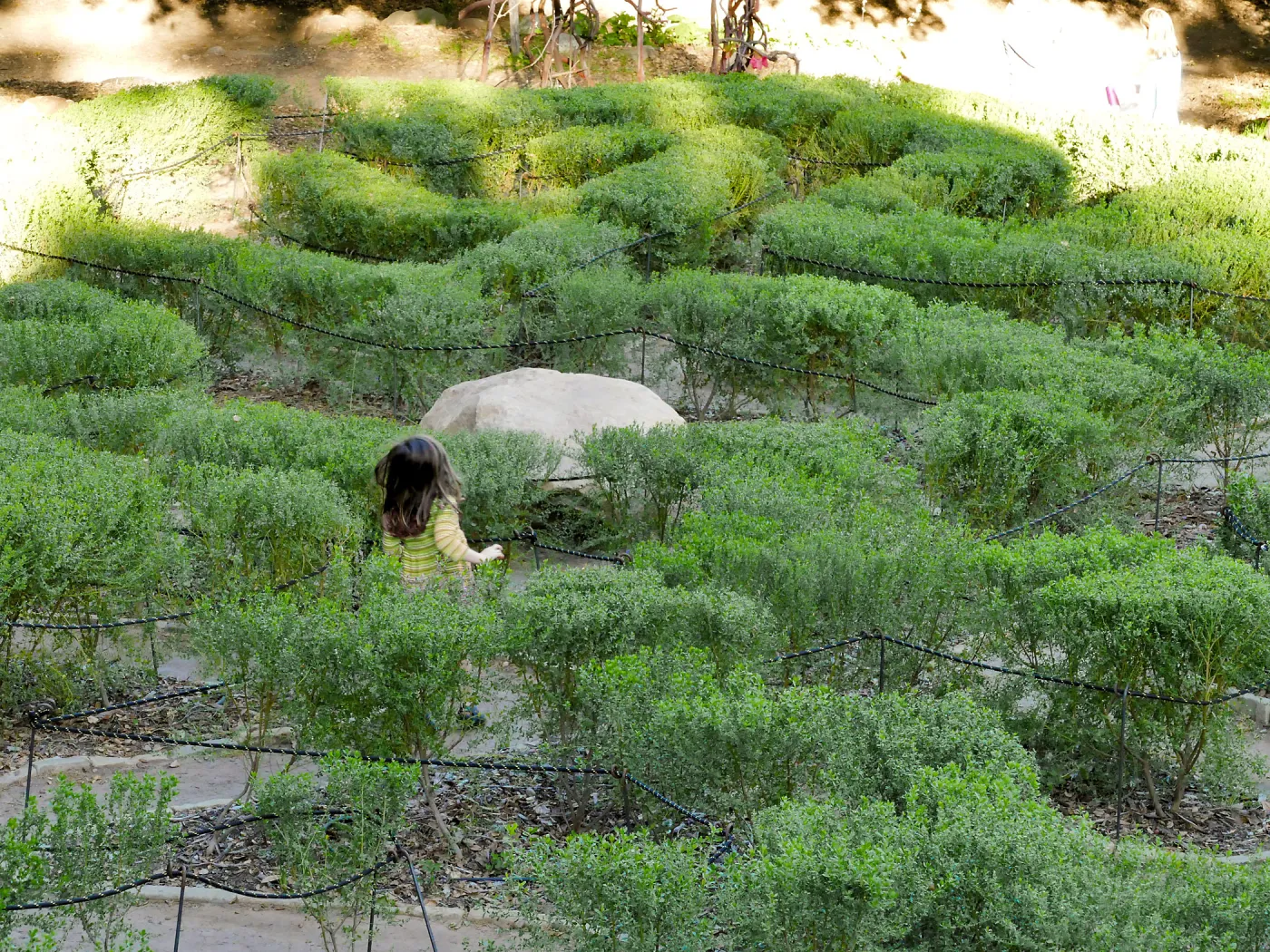 Centennial Maze