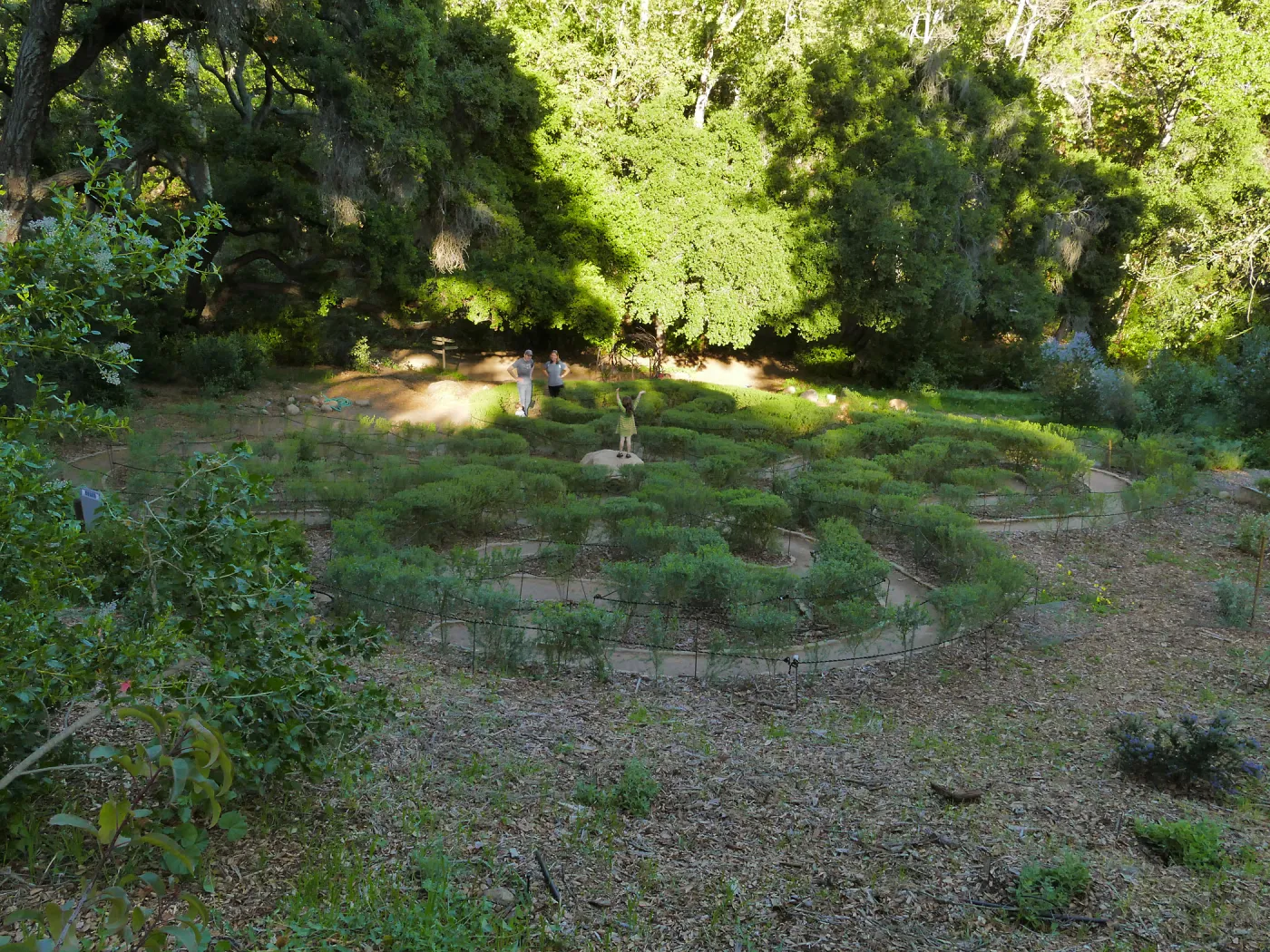 Centennial Maze