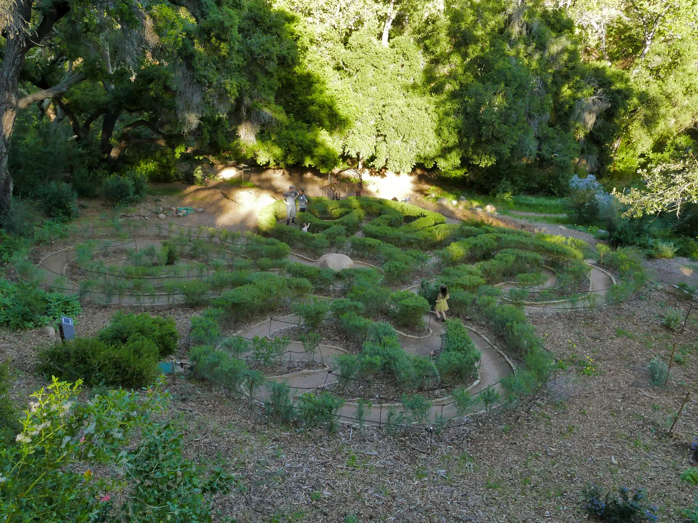 Centennial Maze