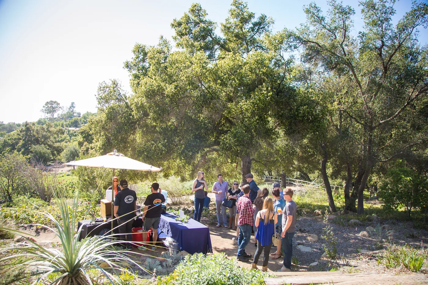 2016 Santa Barbara Beer Garden Event, Island Brewing
