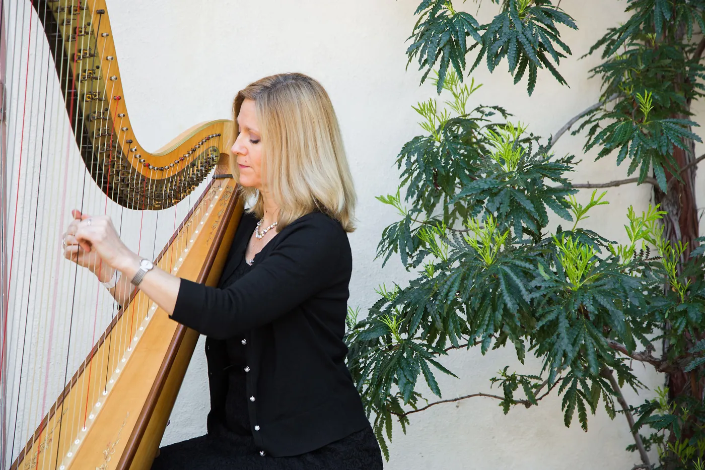 2016 Santa Barbara Beer Garden Event, Laurie Rasmussen, VIP harpist