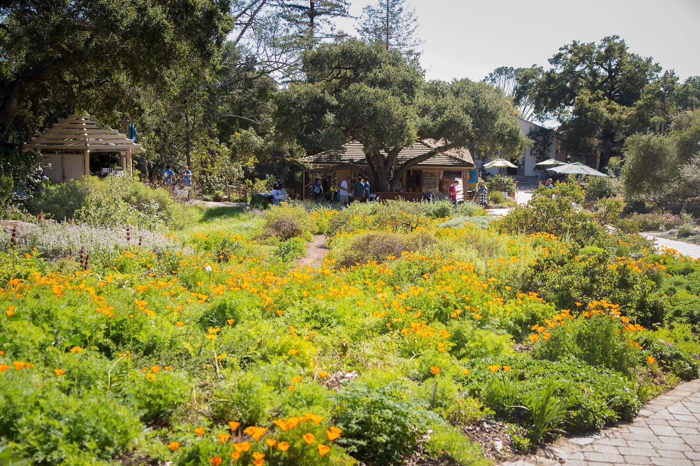 2016 Santa Barbara Beer Garden Event