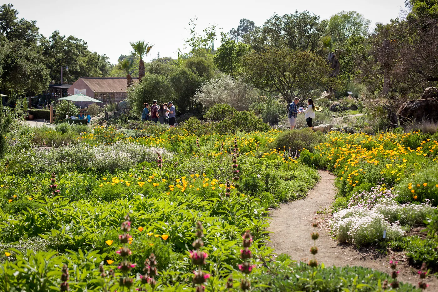 2016 Santa Barbara Beer Garden Event