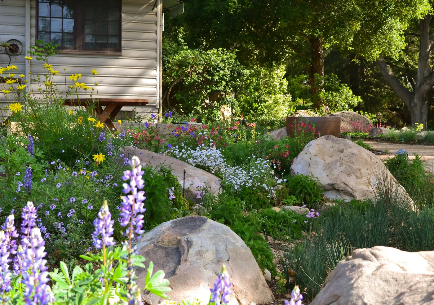 Swale in Home Demonstration Garden