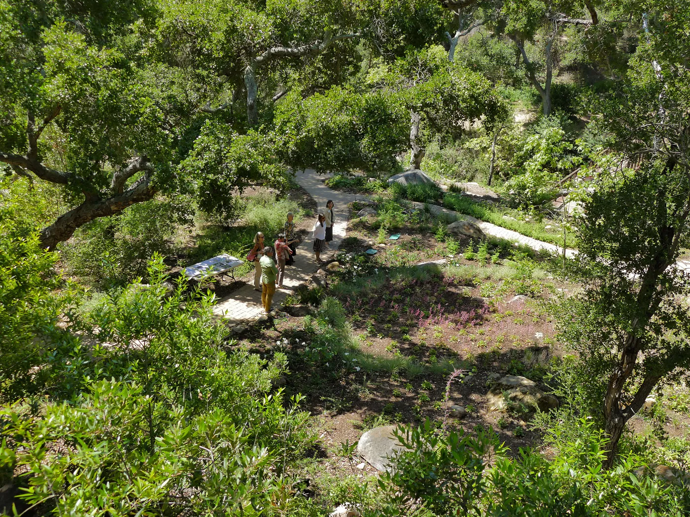 Garden Club of Santa Barbara Centennial Birthday Meeting, Club members visiting the Wooded Dell