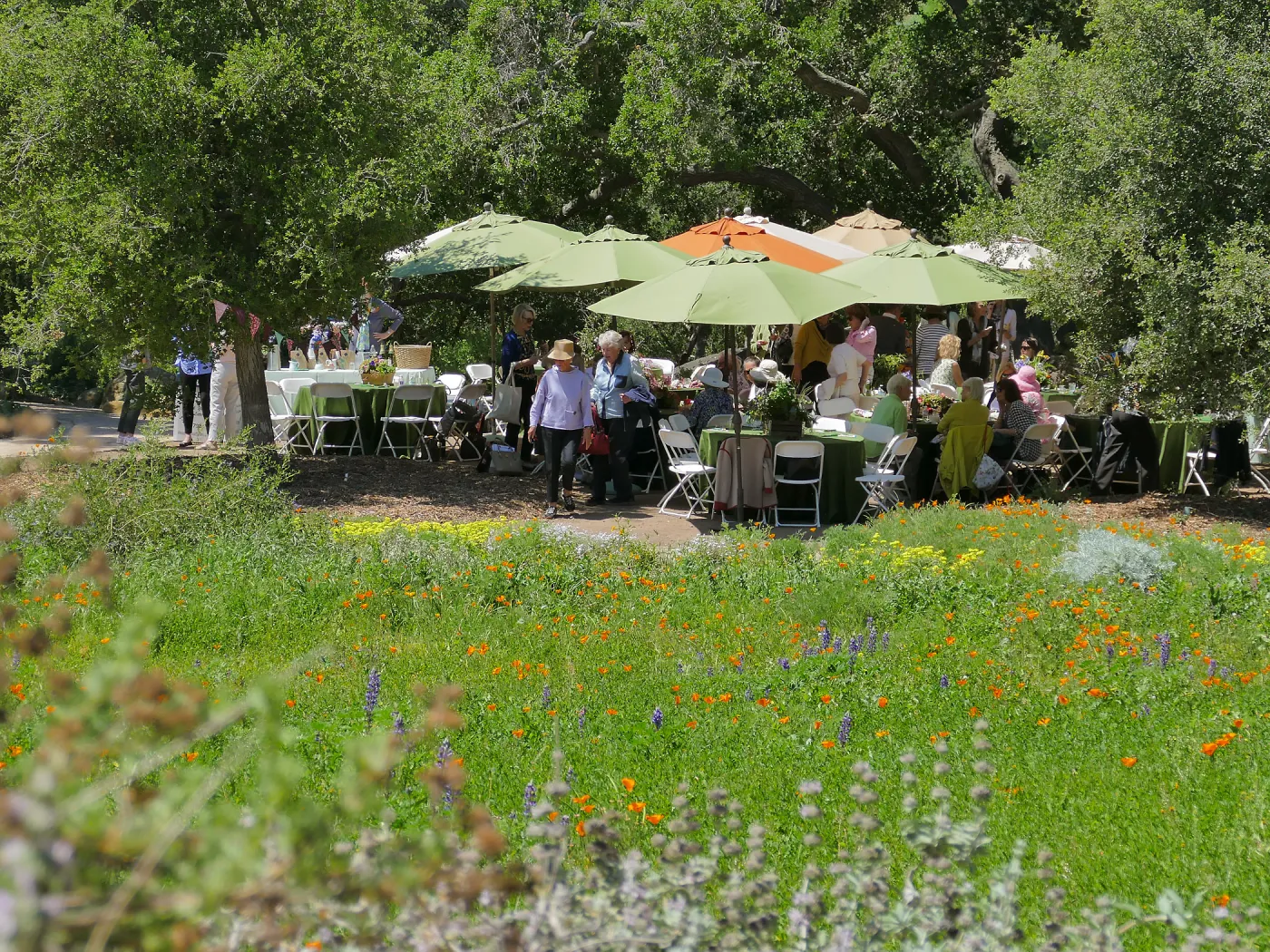 Garden Club of Santa Barbara Centennial Birthday Meeting