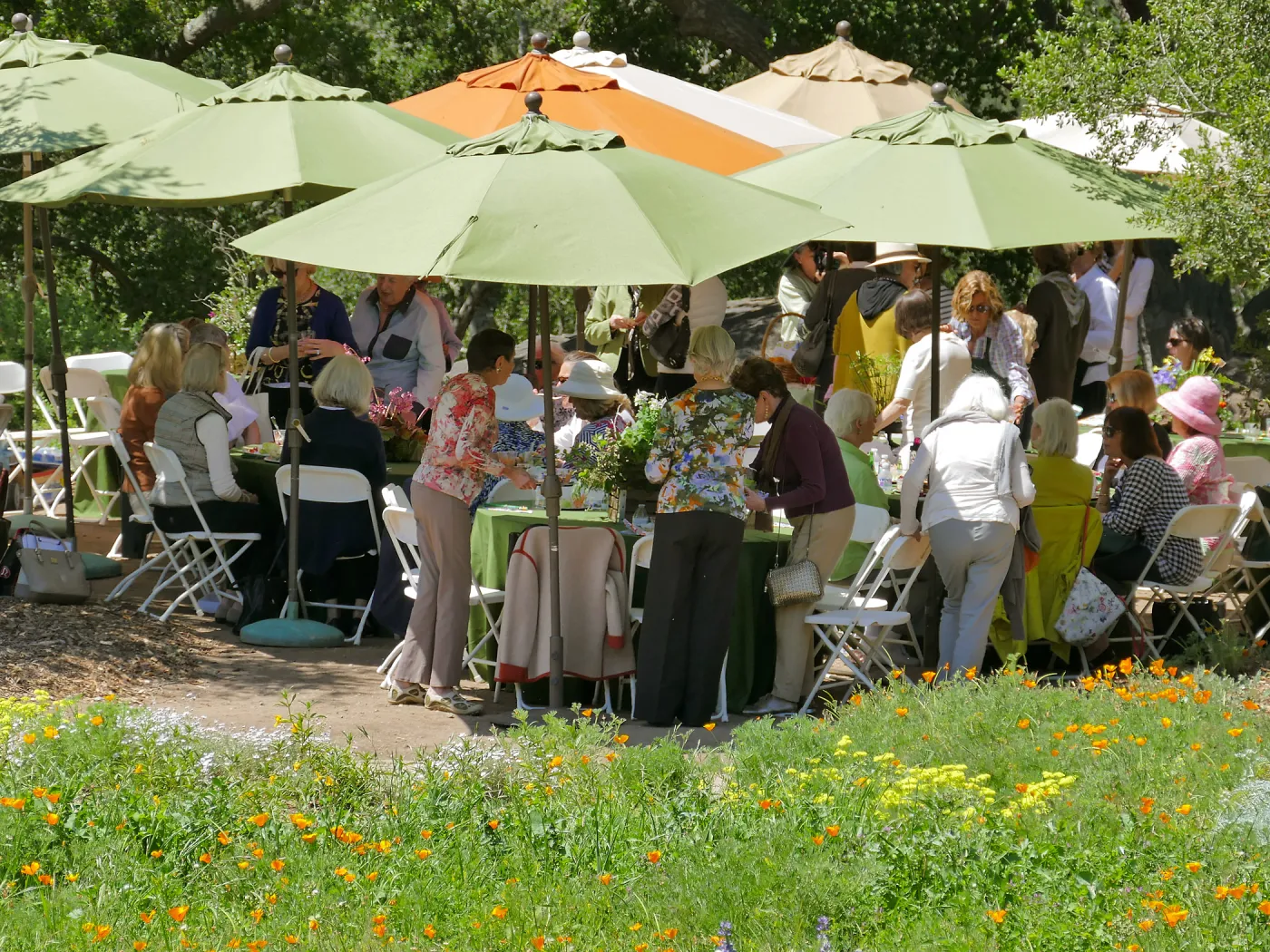 Garden Club of Santa Barbara Centennial Birthday Meeting