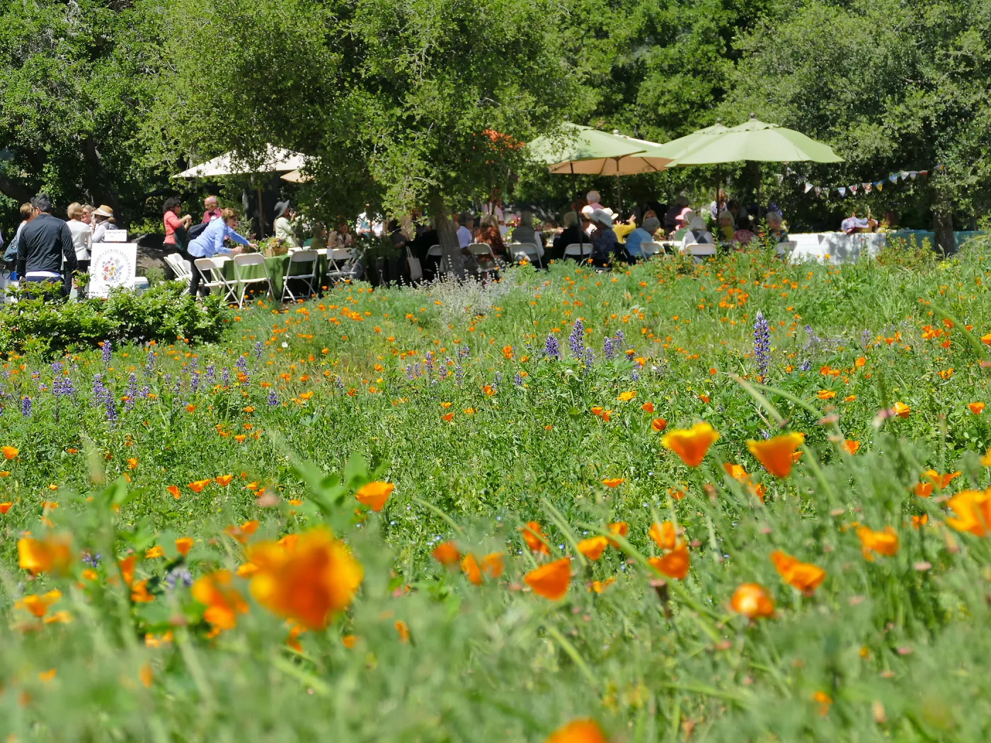 Garden Club of Santa Barbara Centennial Birthday Meeting