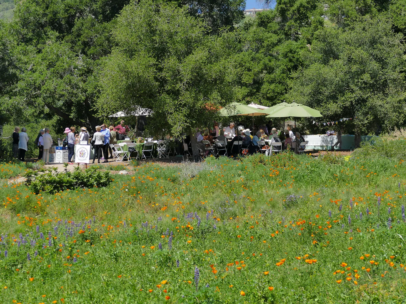 Garden Club of Santa Barbara Centennial Birthday Meeting