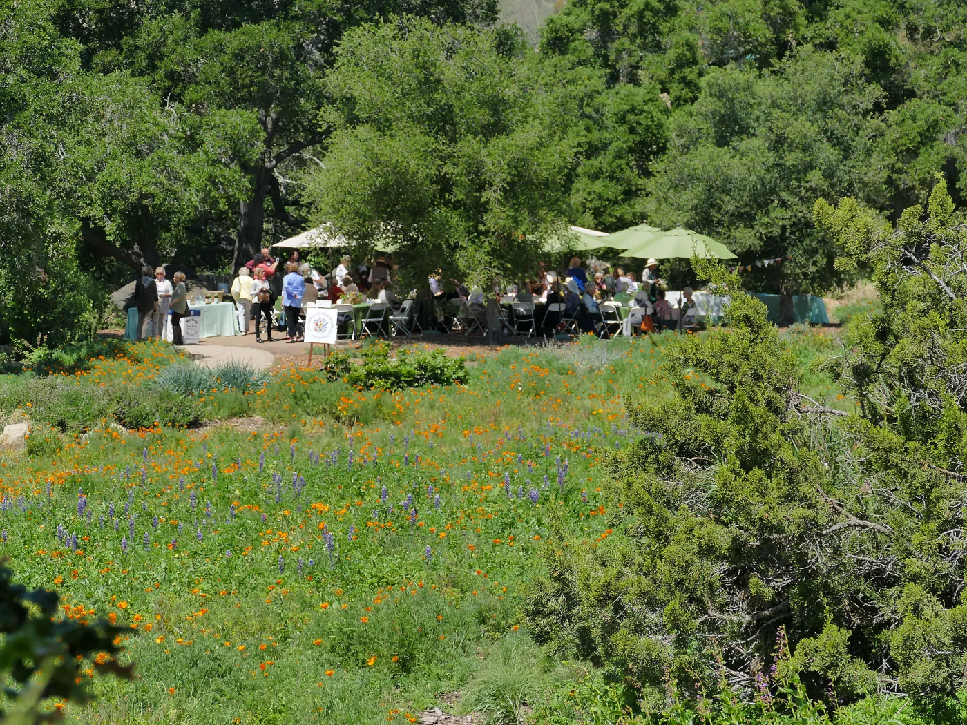 Garden Club of Santa Barbara Centennial Birthday Meeting