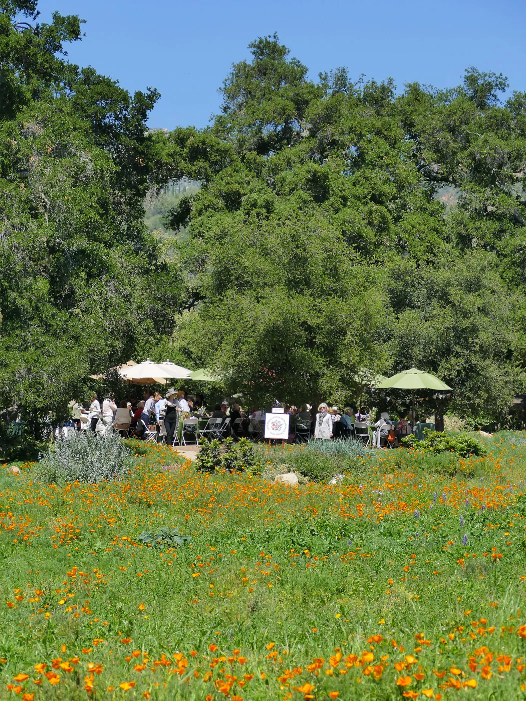 Garden Club of Santa Barbara Centennial Birthday Meeting