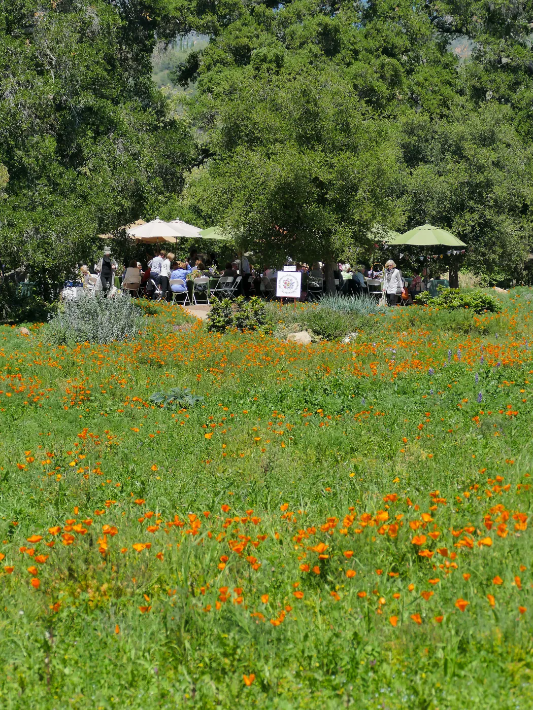 Garden Club of Santa Barbara Centennial Birthday Meeting