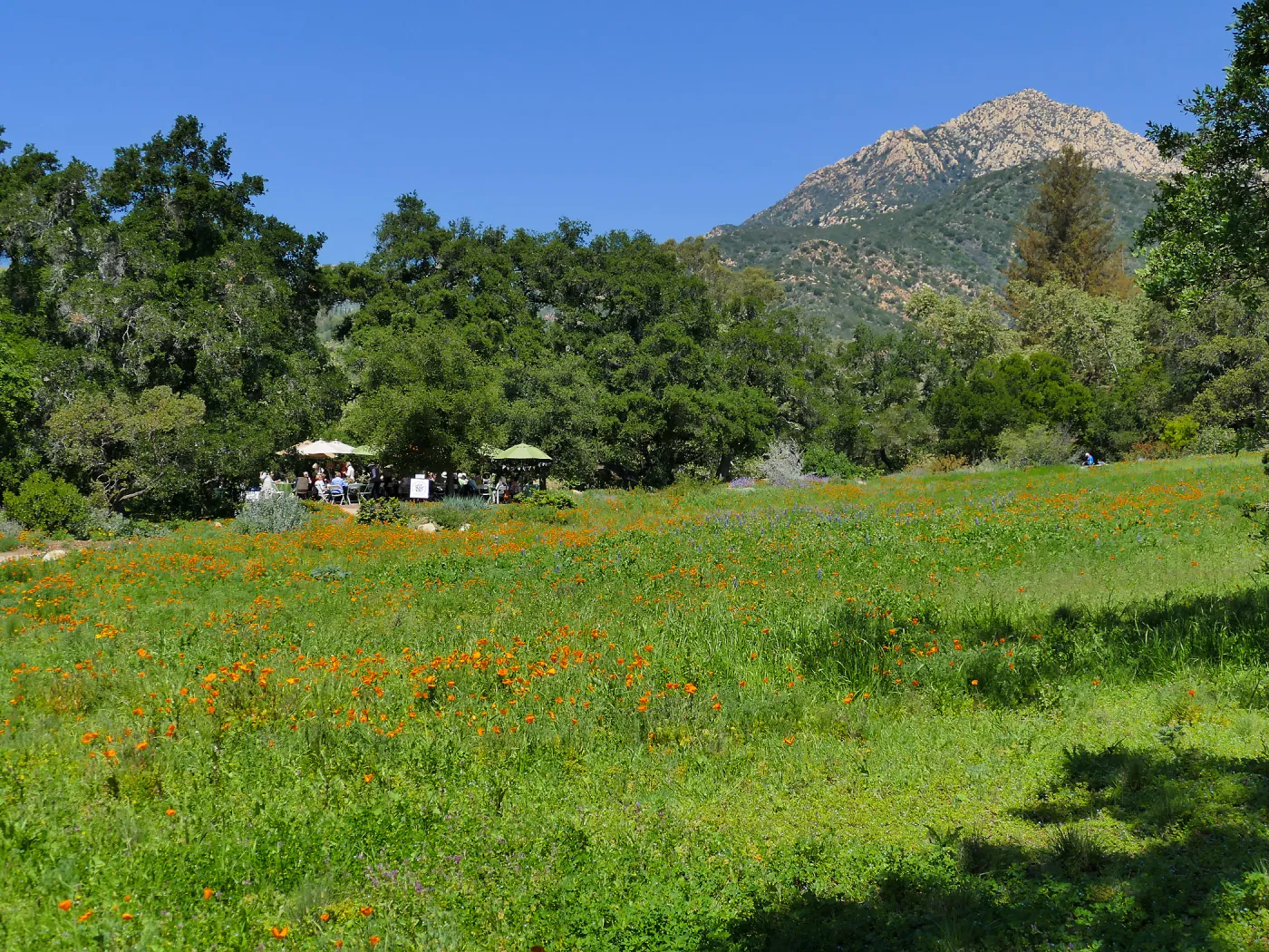 Garden Club of Santa Barbara Centennial Birthday Meeting