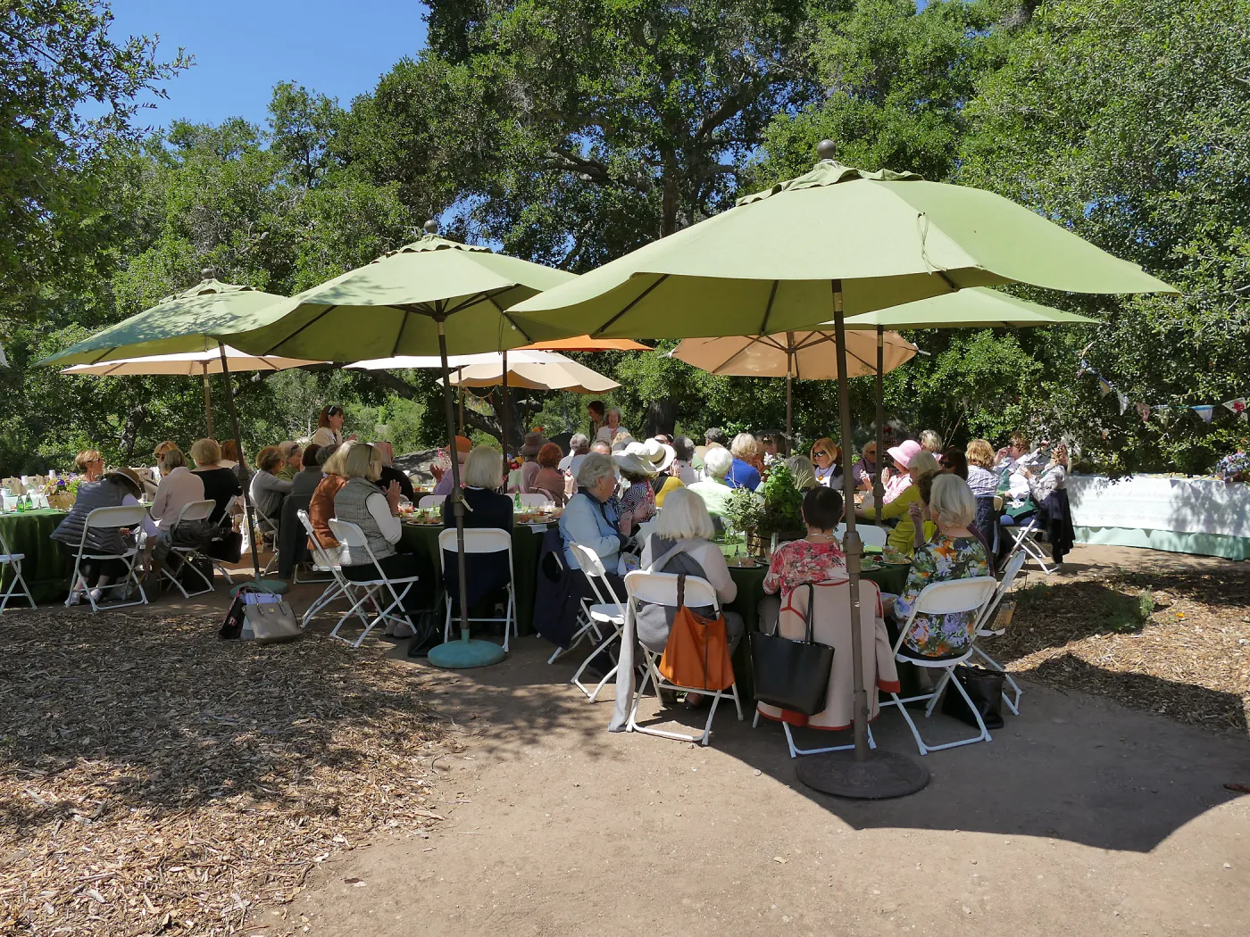 Garden Club of Santa Barbara Centennial Birthday Meeting