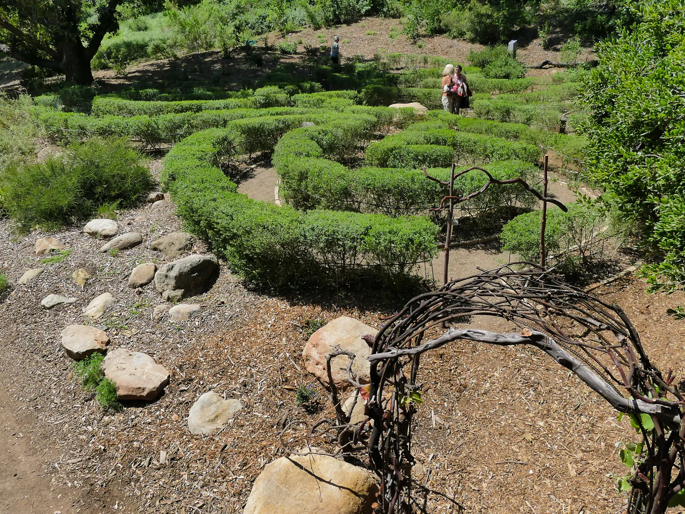 Garden Club of Santa Barbara Centennial Birthday Meeting, Club members touring the Centennial Maze