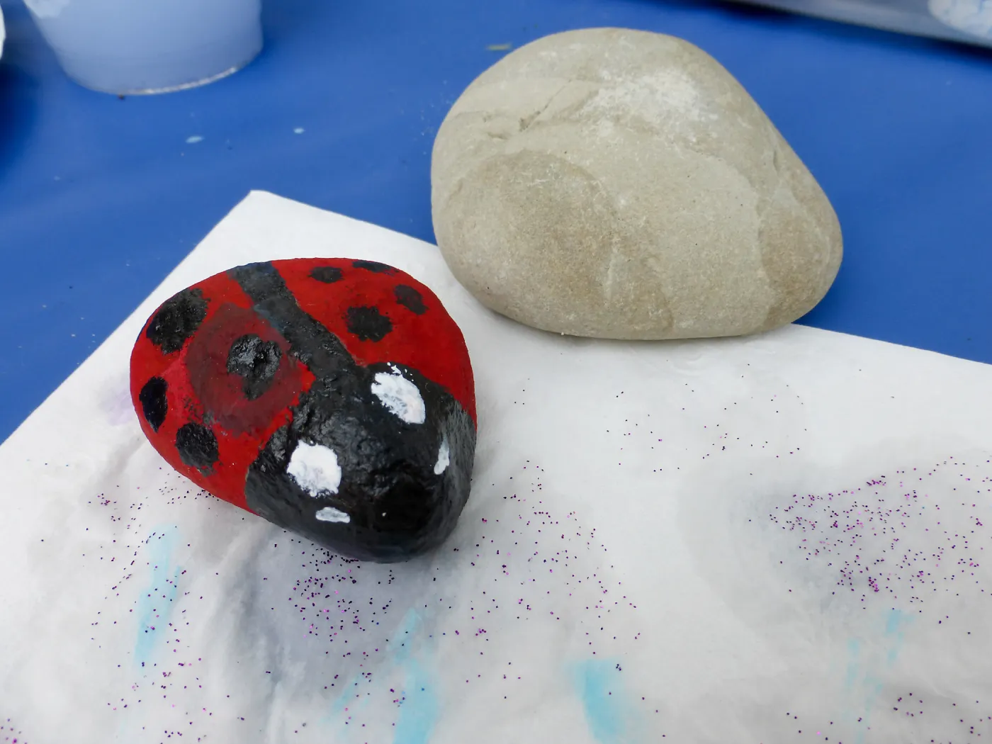 Members Picnic 2016, Day 1, Pet rock activity