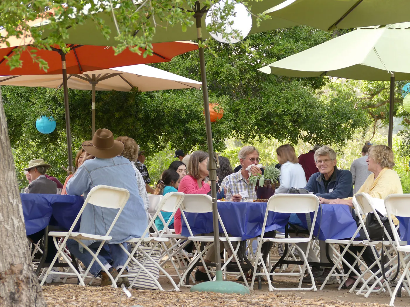 Members Picnic 2016, Day 1