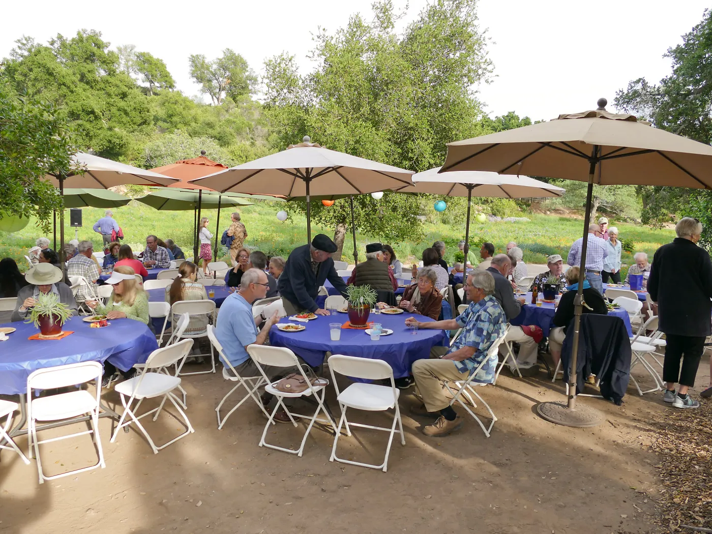 Members Picnic 2016, Day 1