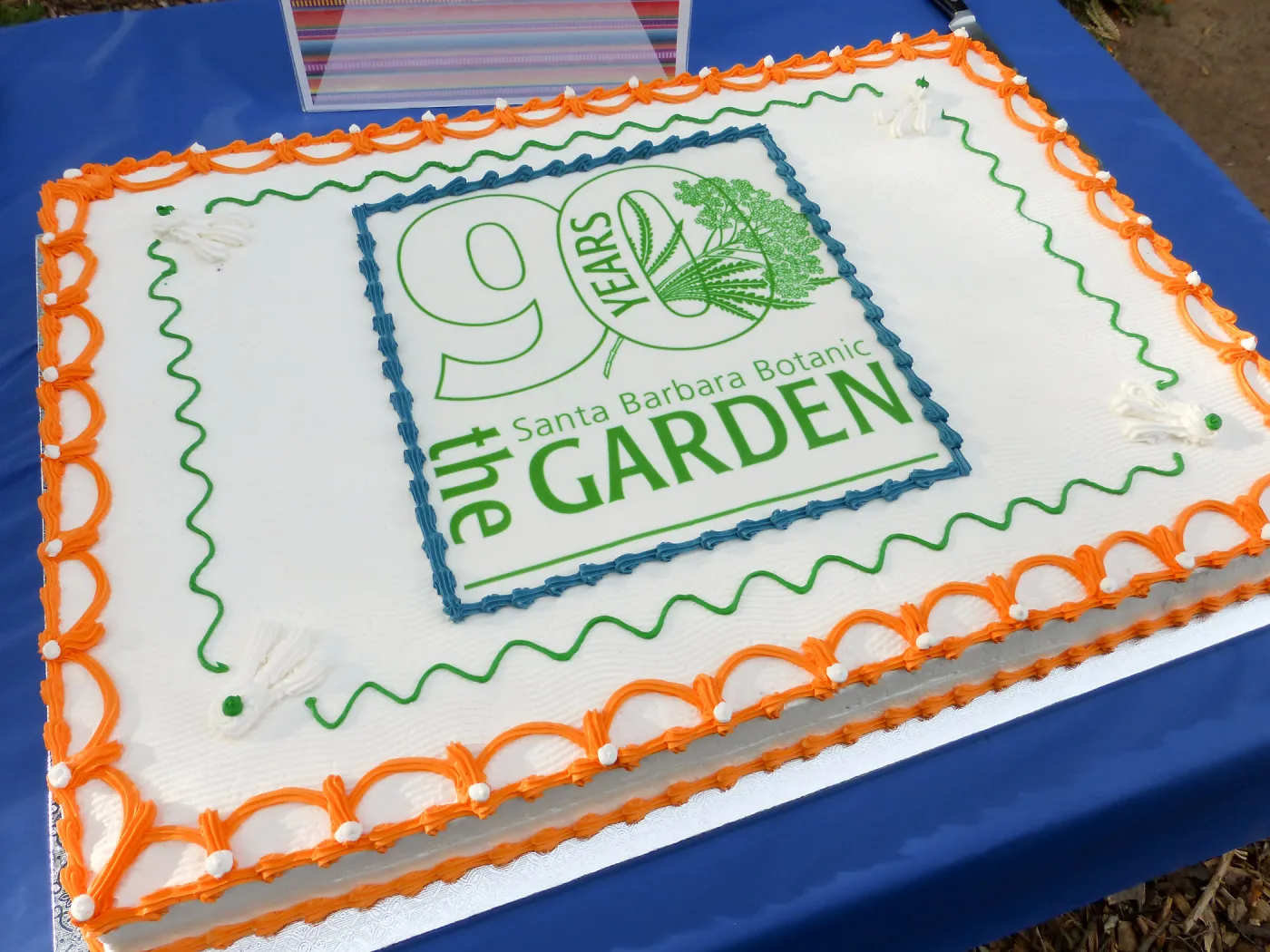 Members Picnic 2016, Day 1, cake