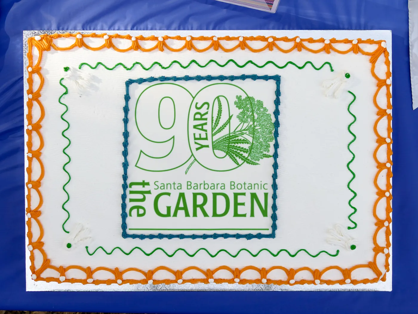 Members Picnic 2016, Day 1, cake