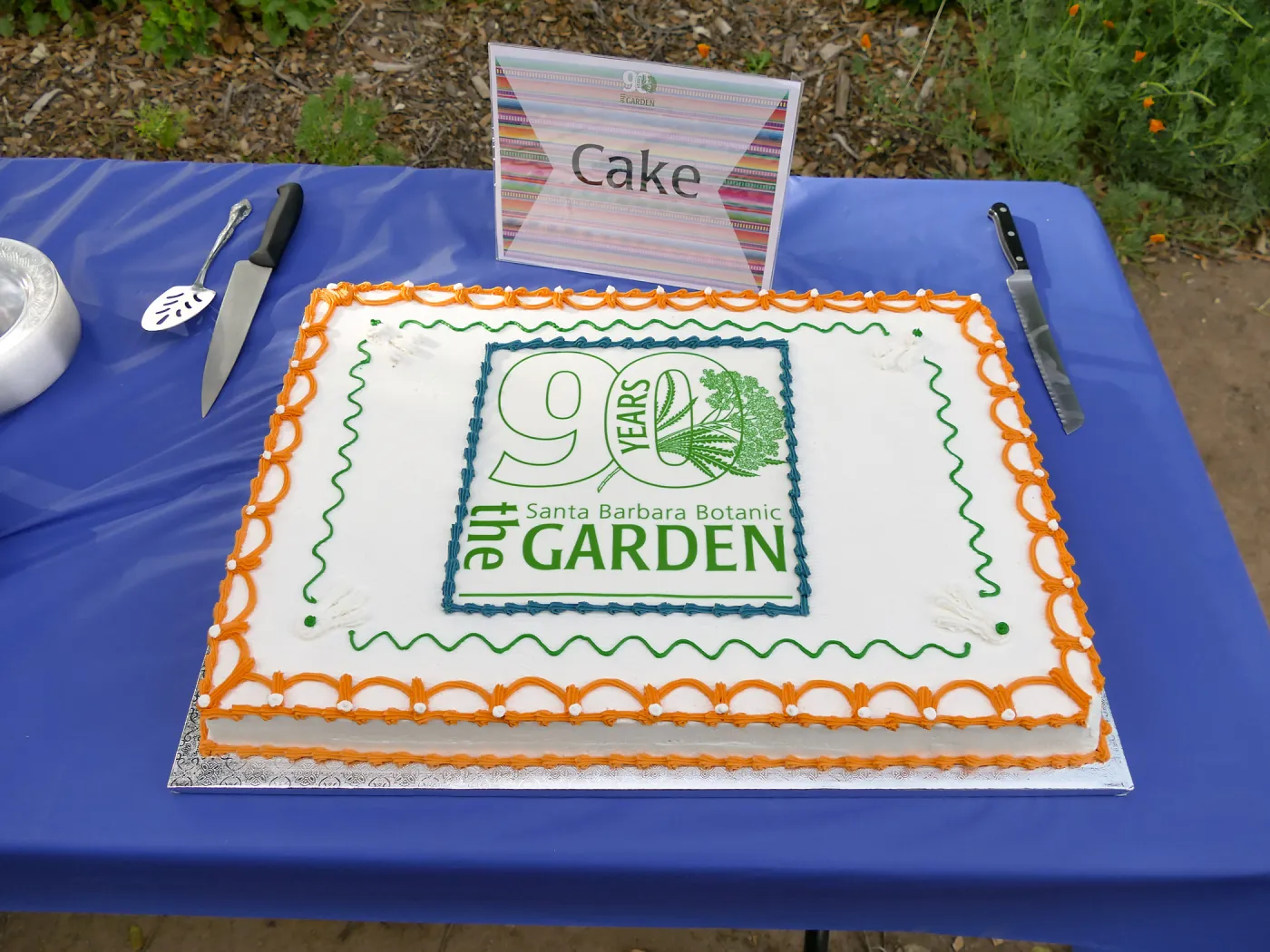 Members Picnic 2016, Day 1, cake