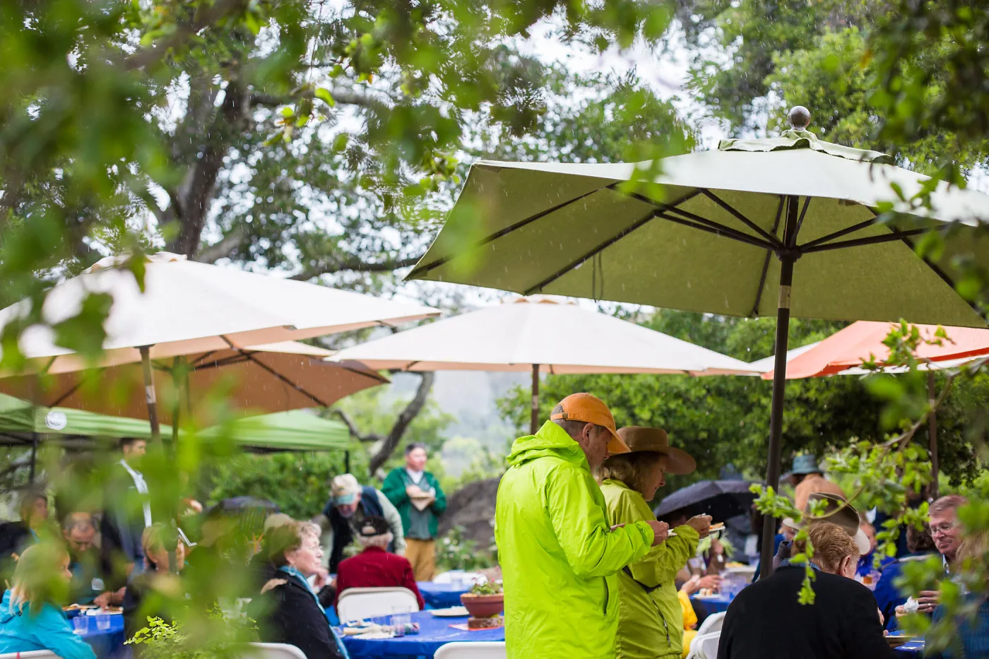 Members Picnic 2016, Day 2